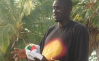 Boniface Ndong explique son absence du stage de Dakar par les ’’aléas du métier’’