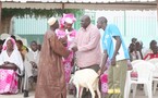 (AUDIO) - Amicale des Anciennes Lionnes et Anciennes Basketteuses du Sénégal (ALABA) : Déjà dans le Social - Remise de moutons de Tabaski aux acteurs oubliés du Basket