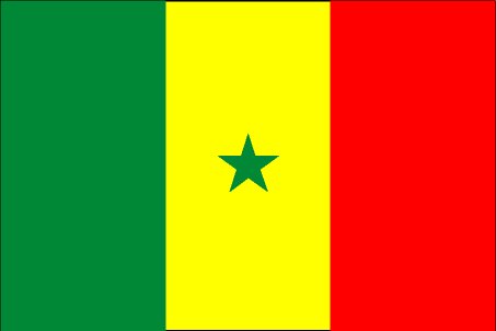 Sénégal- Cameroun 35-14 à la mi-temps