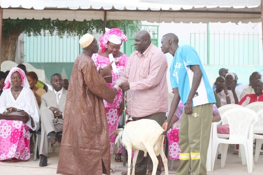 (AUDIO) - Amicale des Anciennes Lionnes et Anciennes Basketteuses du Sénégal (ALABA) : Déjà dans le Social - Remise de moutons de Tabaski aux acteurs oubliés du Basket