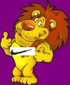 ''Nike'' habillera pendant deux ans les Lions et Lionnes
