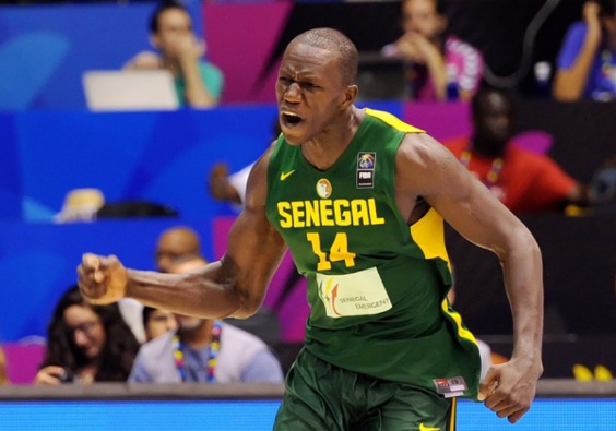 Gorgui Sy Dieng, pivot des Lions : «Si j’ai décidé de jouer l’Afrobasket, c’est pour le gagner»