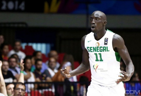 AFROBASKET - PROPOS JUGES IRREVERENCIEUX A L’ENDROIT DU COACH CHEIKH SARR LA FSBB SEVIT ET SUSPEND MOHAMED FAYE AFROBASKET - PROPOS JUGES IRREVERENCIEUX A L’ENDROIT DU COACH CHEIKH SARR LA FSBB SEVIT ET SUSPEND MOHAMED FAYE