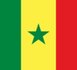 AFROBASKET 2009:L’équipe du Sénégal rejoint la poule F