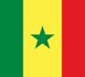 AFROBASKET 2009:L’équipe du Sénégal rejoint la poule F