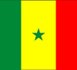 Sénégal- Cameroun 35-14 à la mi-temps