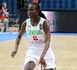 Affaire Diodio Diouf: Quitter les championnats du monde et son équipe nationale  pour aller jouer avec son club 