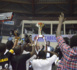 Basket- National 1 Masculin : Le DUC s’offre un 3e titre